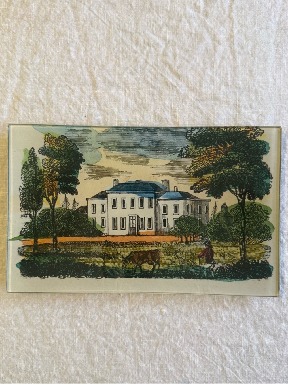John Derian Tray